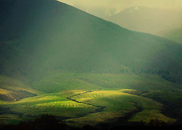 云呼讨债神器软件